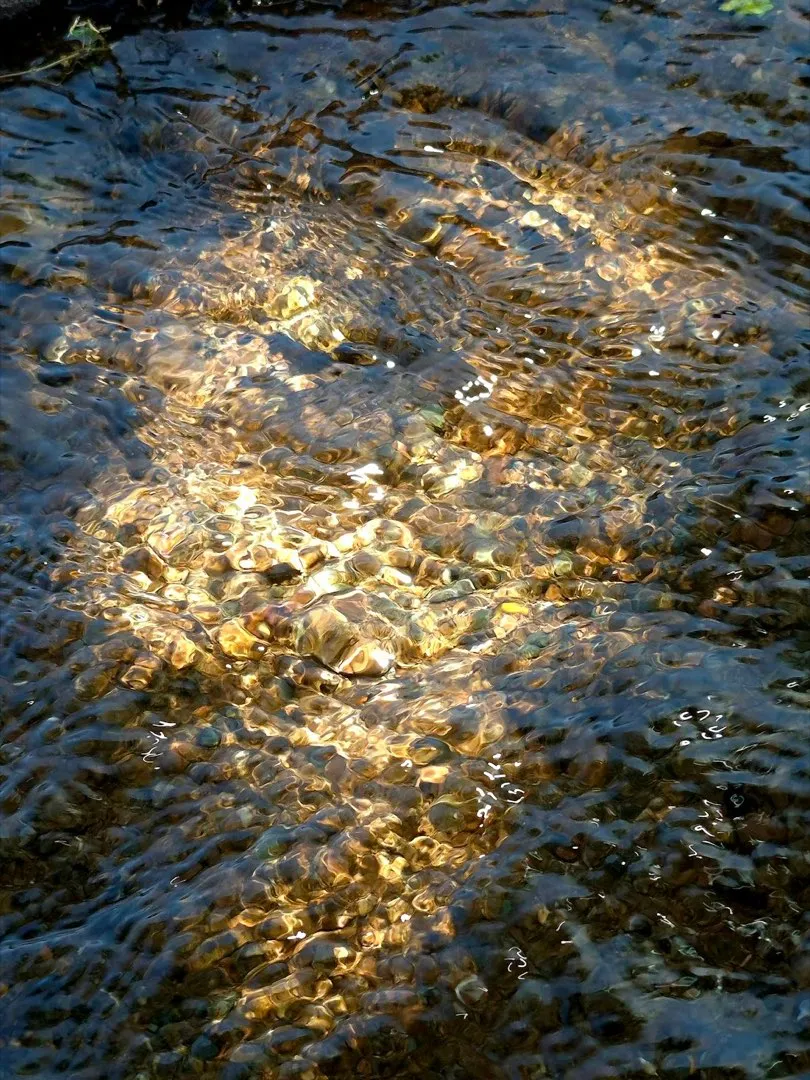 Sunlight rippling through clear, flowing water over golden pebbles